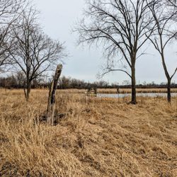 Lincoln Marsh Natural Area