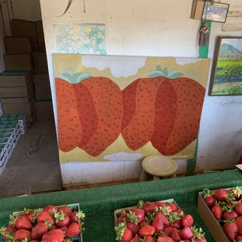 Watmaugh Strawberries - This painting of strawberries brings a lot of joy to the already joyous scenario of being surrounded by strawberries - Fruits & Veggies Near Me - Sonoma, California Watmaugh Strawberries - This painting of strawberries brings a lot of joy to the already joyous scenario of being surrounded by strawberries - Fruits & Veggies Near Me - Sonoma, California