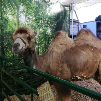 Anderson County Fair - Festivals Near Me - Anderson, South Carolina