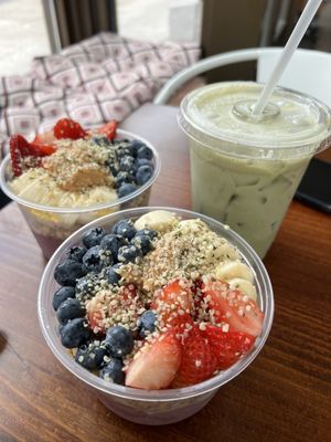 Verve Bowls - Ballard by null