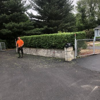 American Tree Care - Tree Services Near Me