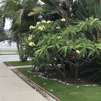 US Turf - Artificial Turf Near Me - San Diego, California US Turf - Artificial Turf Near Me - San Diego, California