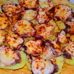 Rodondo