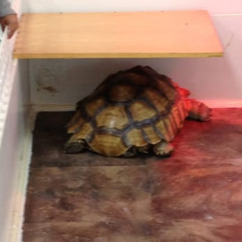 Bug & Reptile Museum - Museums Near Me - Bremerton, Washington