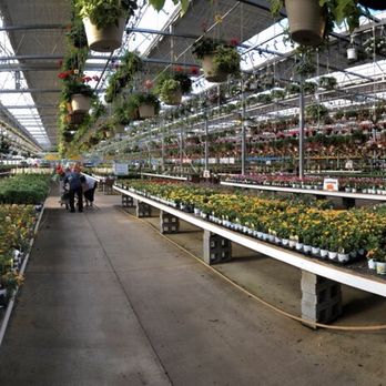 Countryside Greenhouse - Just a small portion of this expansive campus. - Nurseries & Gardening Near Me - Allendale, Michigan