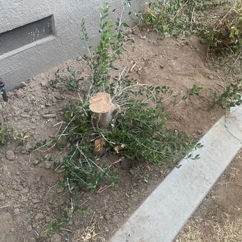 Pablo’s Landscaping Services - Landscaping Near Me Pablo’s Landscaping Services - Landscaping Near Me