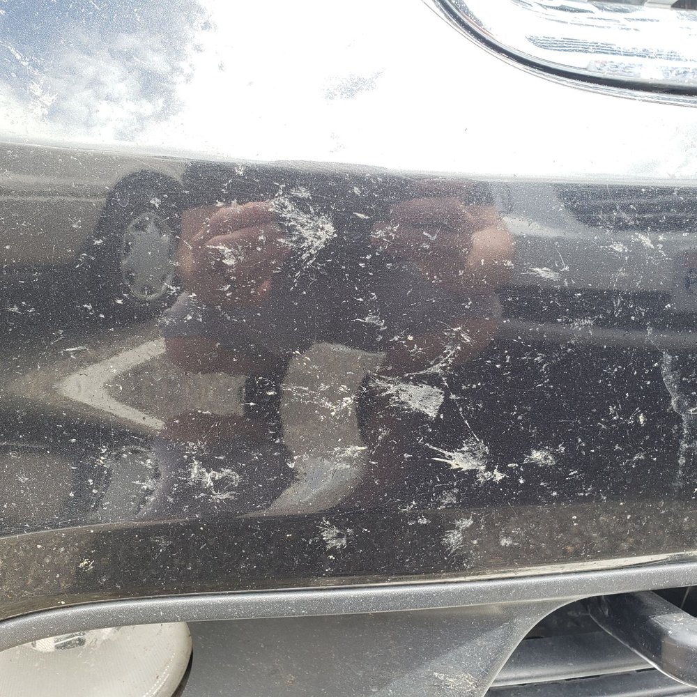 Autobell Car Wash - Bugs not cleaned off. - Car Wash Near Me - Hampton, Virginia Autobell Car Wash - Bugs not cleaned off. - Car Wash Near Me - Hampton, Virginia