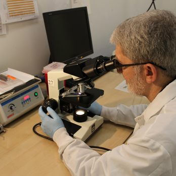 Simple Laboratories - Laboratory Testing Near Me - Chicago, Illinois