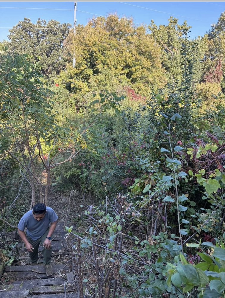 H&S Lawn Care And Snow Removal - tree service in Minneapolis, MN