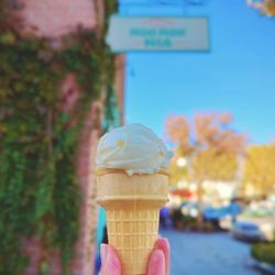 Moo Moo Mia - Seasonal pineapple orange sorbet - fantastic!! Light, refreshing, and flavorful! (Nov 2025)