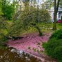 Photo of Spee'scher Graben