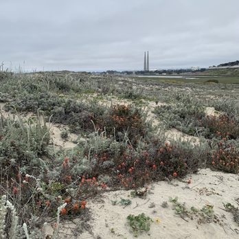 Moss Landing State Beach - Beaches Near Me Moss Landing State Beach - Beaches Near Me