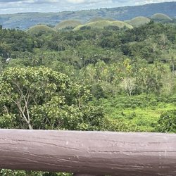Chocolate Hills In Bohol