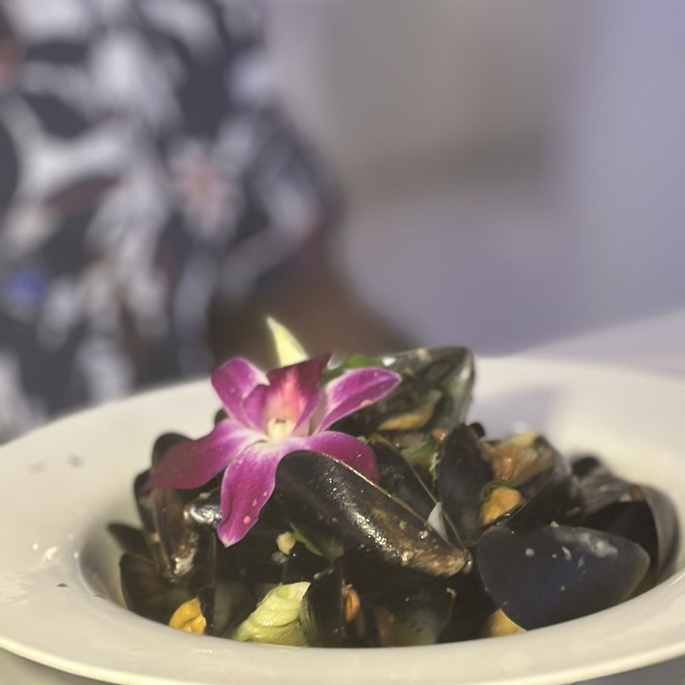 Sea Grill - Ouzo Mussels very nice - Greek Near Me - North Miami Beach, Florida