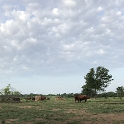 Essential Home Maintenance Checklist: Keep Your Home in Top Condition