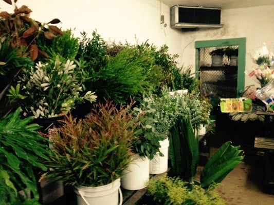 Travis Wholesale Florists 24 Photos 30 Reviews Florists 240 W Josephine St San Antonio Tx United States Phone Number Yelp