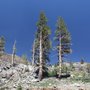 Tioga Pass Resort