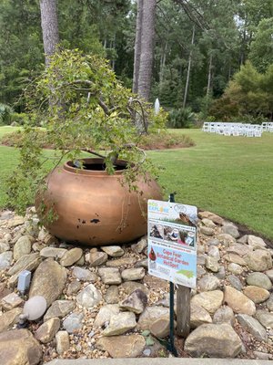 Cape Fear Botanical Garden by null