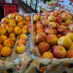 Hughes Farmers Market & Nursery