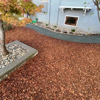 Eco Grounds Landscaping - a tree in a concrete planter - Landscaping Near Me