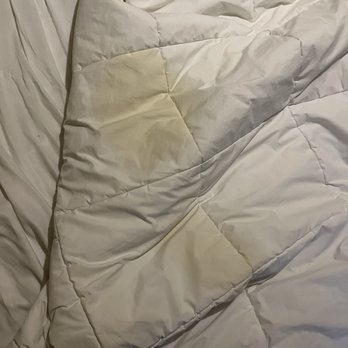 Freehand Chicago - Pee stains - Hotels Near Me - Chicago, Illinois