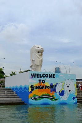 Singapore DUCKtours by null