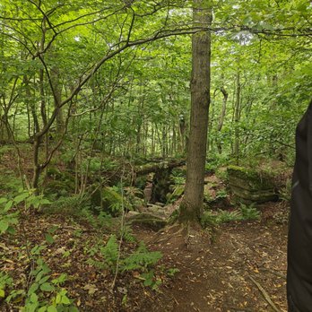 Panama Rocks Scenic Park - #panamarocks! - Hiking Near Me - Panama, New York Panama Rocks Scenic Park - #panamarocks! - Hiking Near Me - Panama, New York