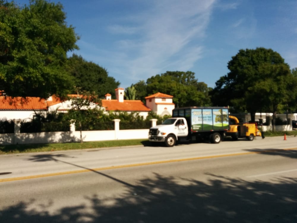 Gulf Coast Trees - tree service in Tampa, FL