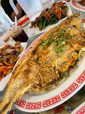 King Palace | Seafood Restaurant by null