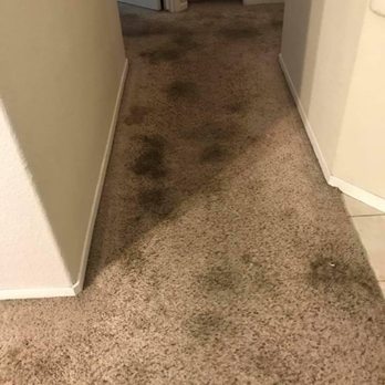 Appollons Carpet Cleaning - Sample before job - Carpet Cleaning Near Me Appollons Carpet Cleaning - Sample before job - Carpet Cleaning Near Me