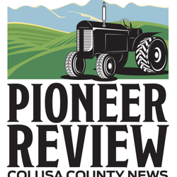 Williams Pioneer Review