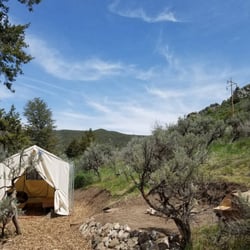 Bristol Cabins - One of our "tent-cabins", Juniper's Rest.
