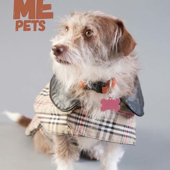 Emerald City Pet Rescue - We work with organizations like Pawsitive Alliance, HeARTs speak, and Lara Grauer Photography for awareness campaigns like #WhyNotMe! - Community Service/Non-Profit Near Me - Seattle, Washington Emerald City Pet Rescue - We work with organizations like Pawsitive Alliance, HeARTs speak, and Lara Grauer Photography for awareness campaigns like #WhyNotMe! - Community Service/Non-Profit Near Me - Seattle, Washington