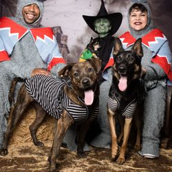 Foster Army Animal Rescue - Ghouls for Drools. Saturday, October 12, 2024 Photo Opportunity with The #WickedWitch Professional #Pet Pics by Ale at Oaks #Photography