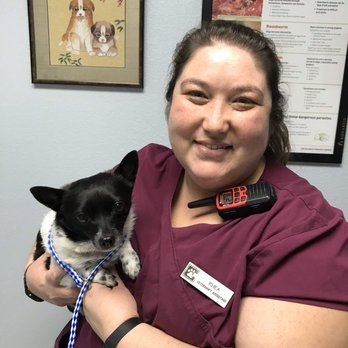 Hatton Veterinary Hospital - Rhea is the sweetest! Full of Aloha - Veterinarians Near Me - Elk Grove, California Hatton Veterinary Hospital - Rhea is the sweetest! Full of Aloha - Veterinarians Near Me - Elk Grove, California