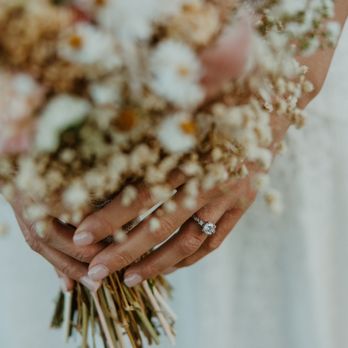 Wildly Hitched - Event Photography Near Me Wildly Hitched - Event Photography Near Me