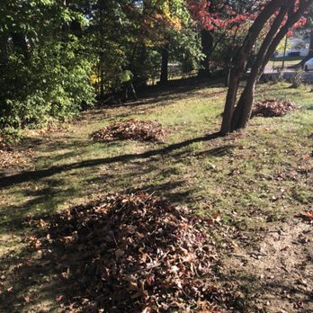 A+ Garden & Landscaping - Leaf cleanup & removal - Gardeners Near Me A+ Garden & Landscaping - Leaf cleanup & removal - Gardeners Near Me