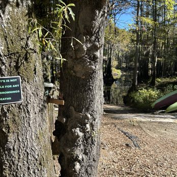 Ole Mossy’s Up River - Gotta love the sign! - Boat Tours Near Me - Karnack, Texas