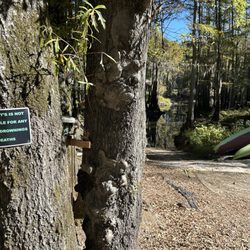 Ole Mossy’s Up River - Gotta love the sign!