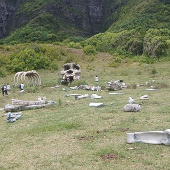 Kualoa Ranch - The boneyard from the Kong movie - Tours Near Me - Kaneohe, Hawaii