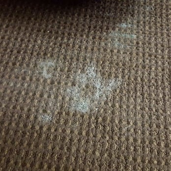 Quality Inn - Mold between the beds. - Hotels Near Me - Conway, South Carolina Quality Inn - Mold between the beds. - Hotels Near Me - Conway, South Carolina