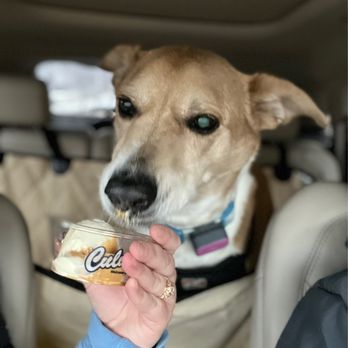 Culver's - Murphy Clare's pup cup with peanut butter - Fast Food Near Me - South Bend, Indiana