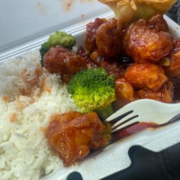 a plate of food with rice and broccoli a plate of food with rice and broccoli