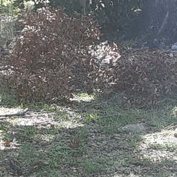 TopNotch Landscaping Services - Pressure Washers Near Me