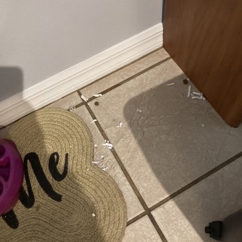 Mama Clean - Dining room floor near the dog bowl - Office Cleaning Near Me - Groveland, Florida Mama Clean - Dining room floor near the dog bowl - Office Cleaning Near Me - Groveland, Florida