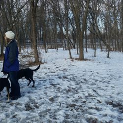 Chisago City Dog Park