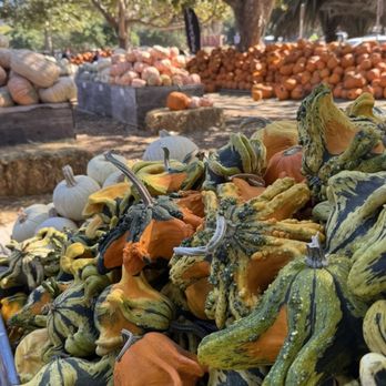 Avila Valley Barn - Fruits & Veggies Near Me - San Luis Obispo, California Avila Valley Barn - Fruits & Veggies Near Me - San Luis Obispo, California