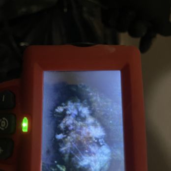 Victory Exterminating - Dead opossum found in wall with our camera - Pest Control Near Me - Montclair, California Victory Exterminating - Dead opossum found in wall with our camera - Pest Control Near Me - Montclair, California