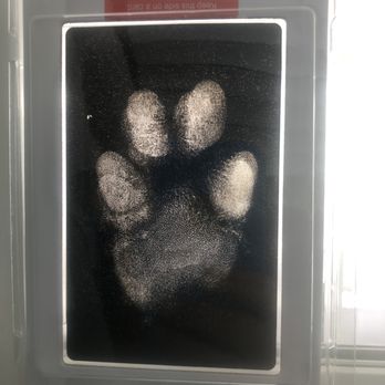 Heaven From Home - Ink blotter paw print looks great in window - Veterinarians Near Me