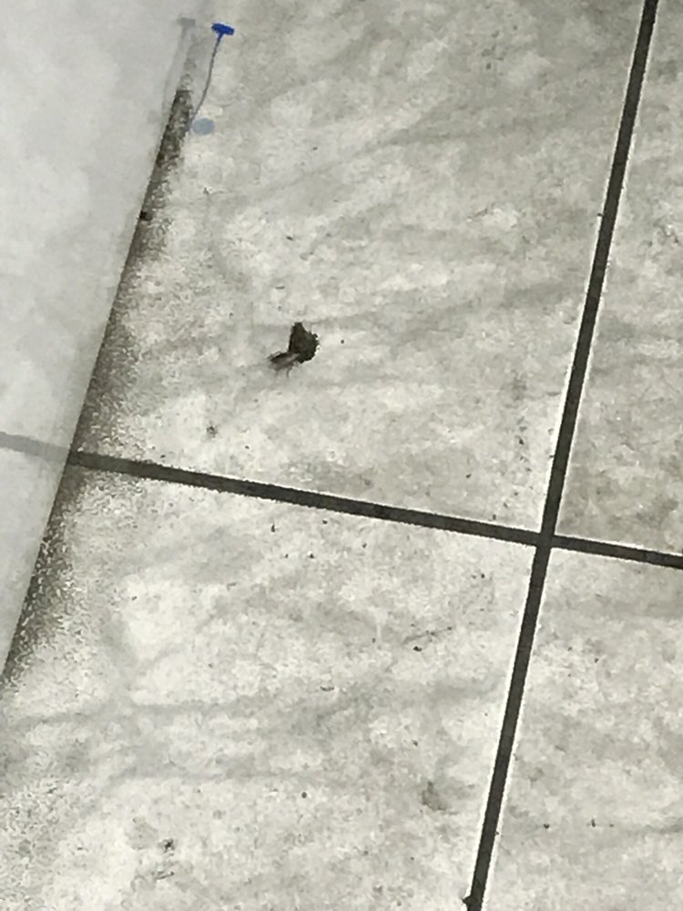 THE LAUNDRY ROOM Updated September 2024 1725 Columbus St